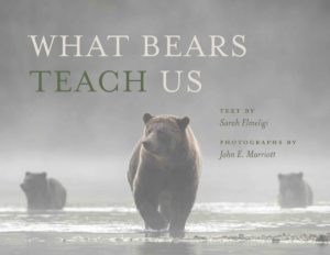 What Bears Teach Us by Sarah Elmeligi